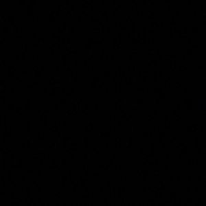 Meet your Posher, Madi